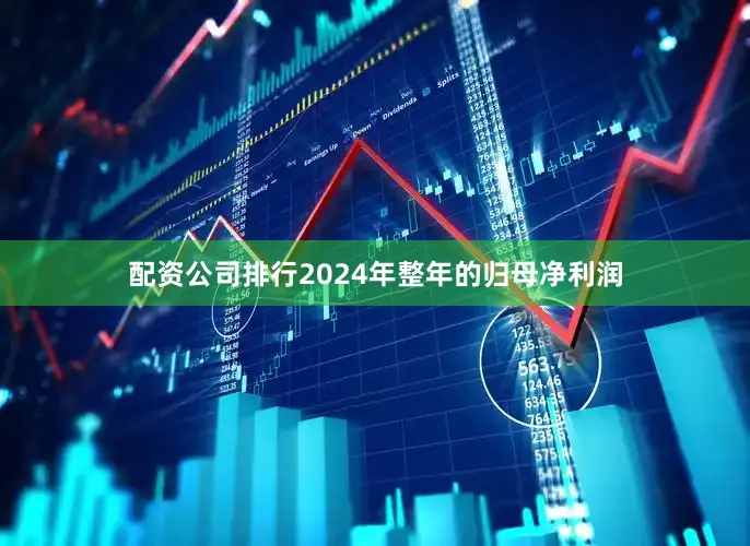 配资公司排行2024年整年的归母净利润