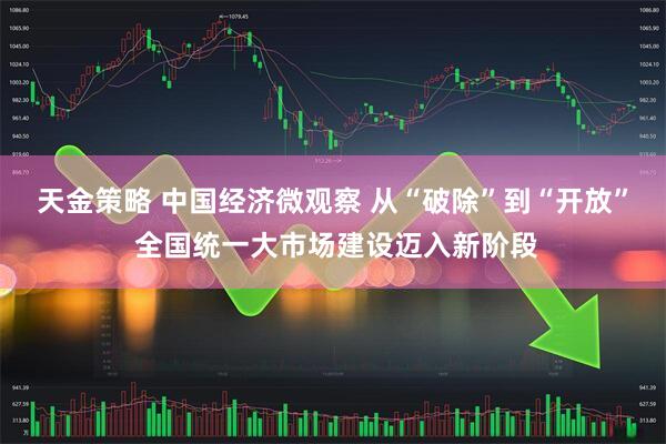 天金策略 中国经济微观察 从“破除”到“开放” 全国统一大市场建设迈入新阶段