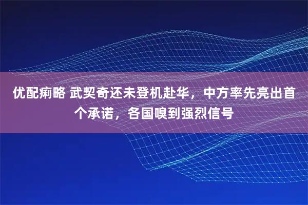 优配痢略 武契奇还未登机赴华，中方率先亮出首个承诺，各国嗅到强烈信号