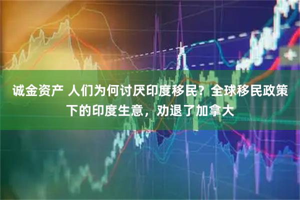诚金资产 人们为何讨厌印度移民？全球移民政策下的印度生意，劝退了加拿大